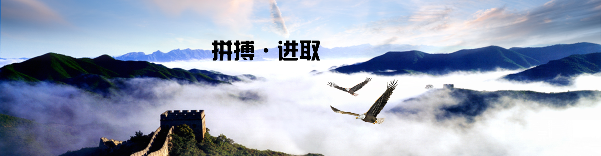 Ag���޼���(�й���)�ٷ���վ